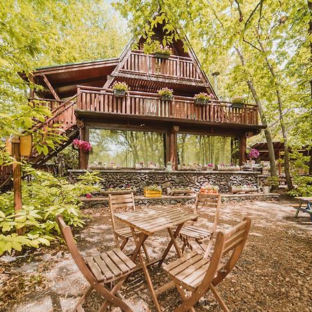 Matilde'S Chalet Etna Nature House นีโกโลซี ภายนอก รูปภาพ