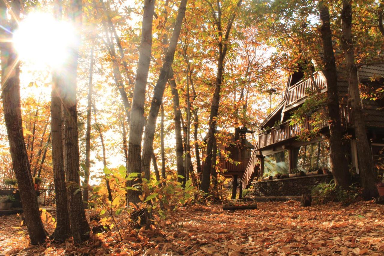 Matilde'S Chalet Etna Nature House นีโกโลซี ภายนอก รูปภาพ