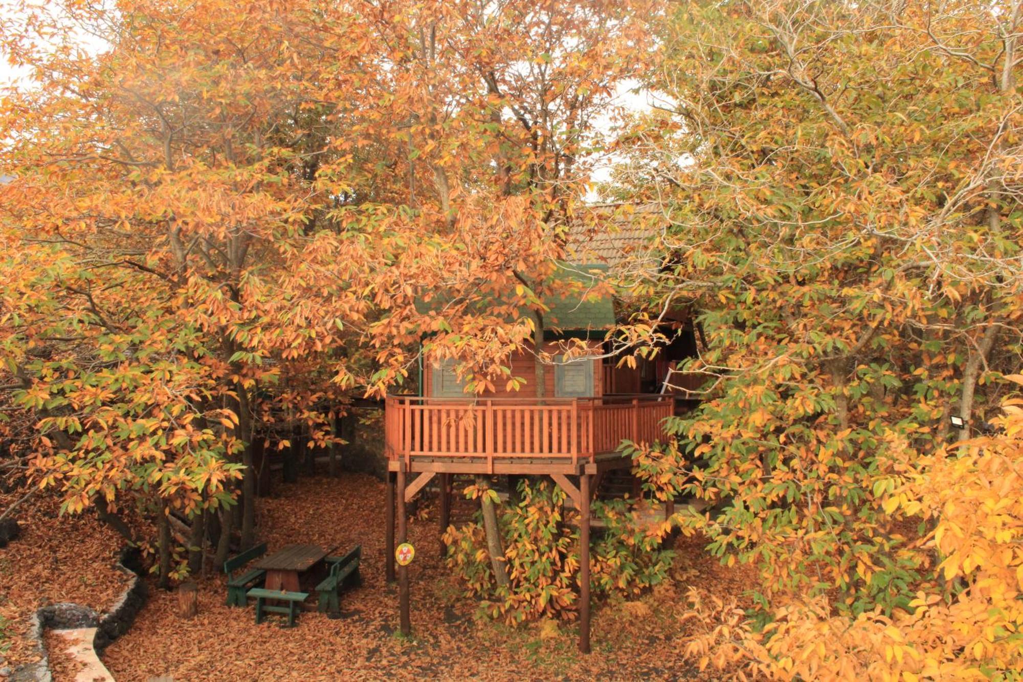 Matilde'S Chalet Etna Nature House นีโกโลซี ภายนอก รูปภาพ