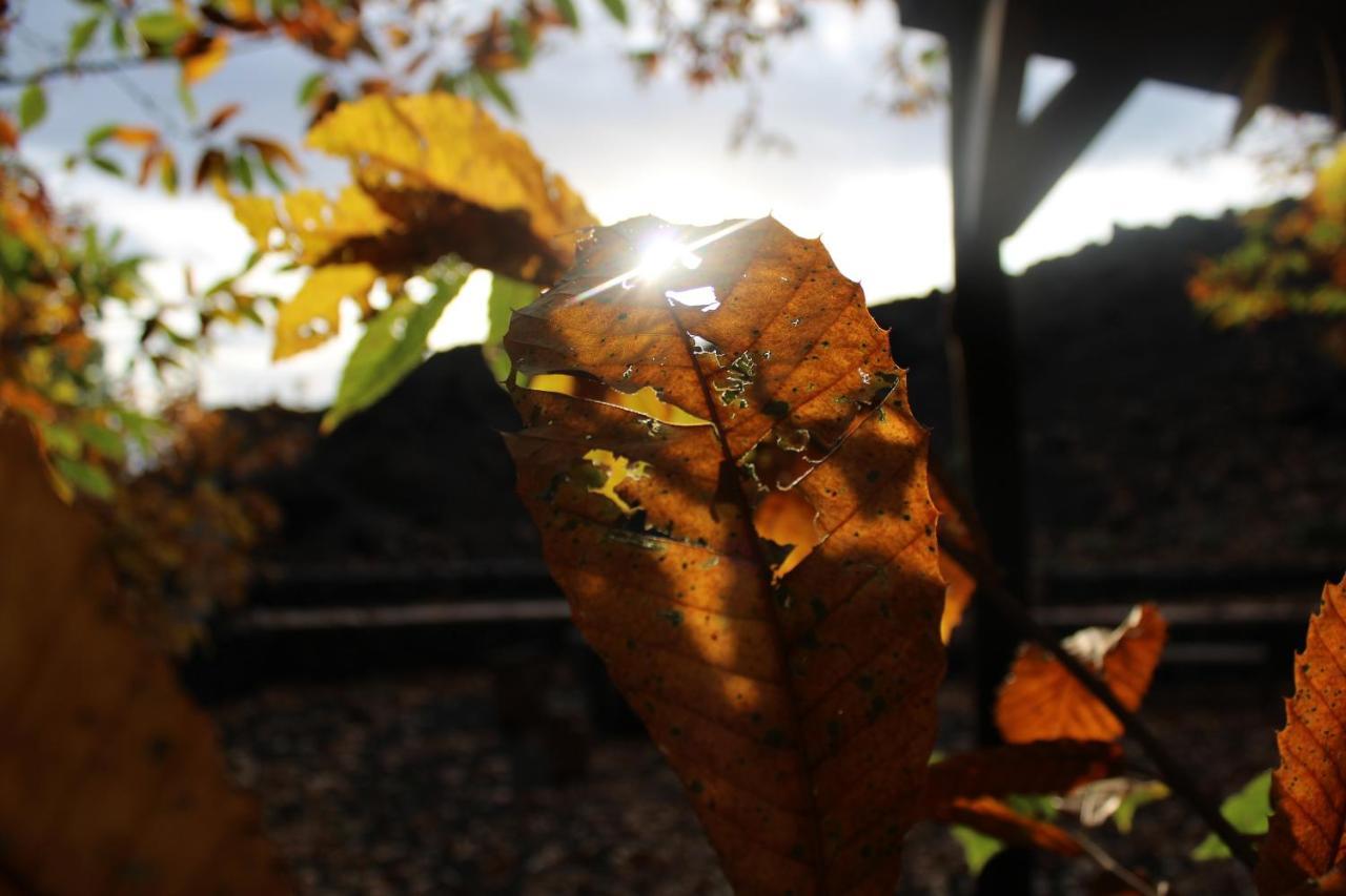 Matilde'S Chalet Etna Nature House นีโกโลซี ภายนอก รูปภาพ