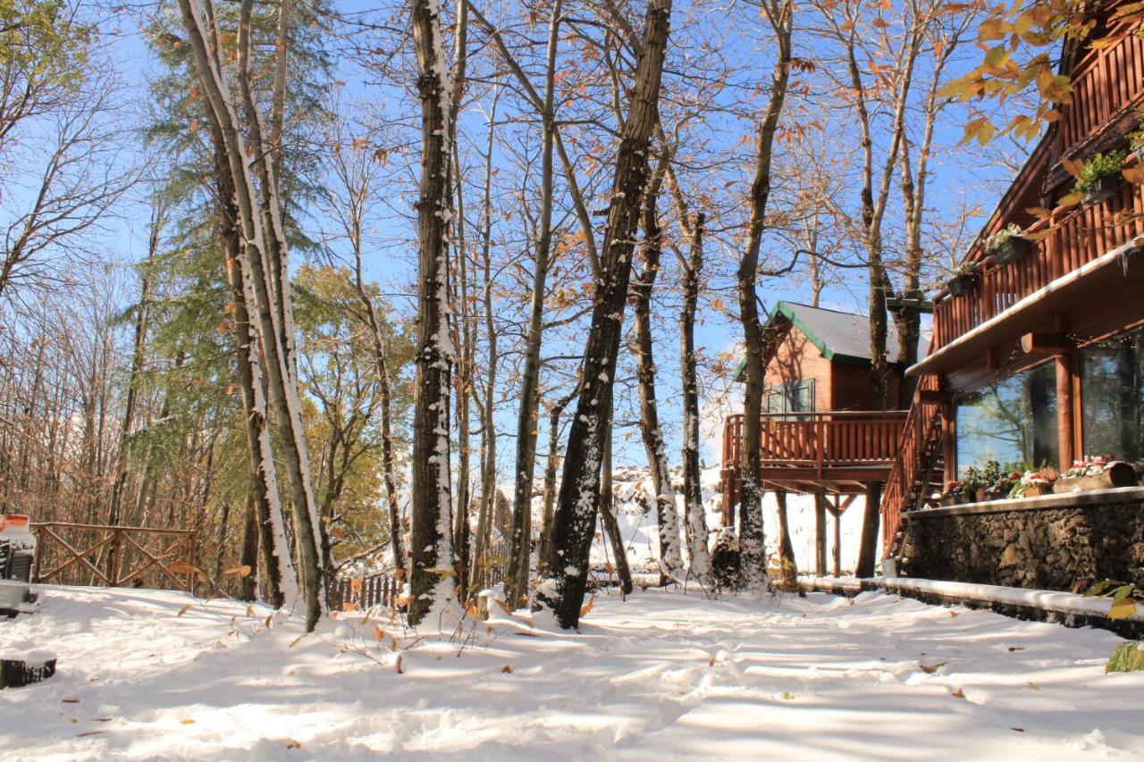 Matilde'S Chalet Etna Nature House นีโกโลซี ภายนอก รูปภาพ